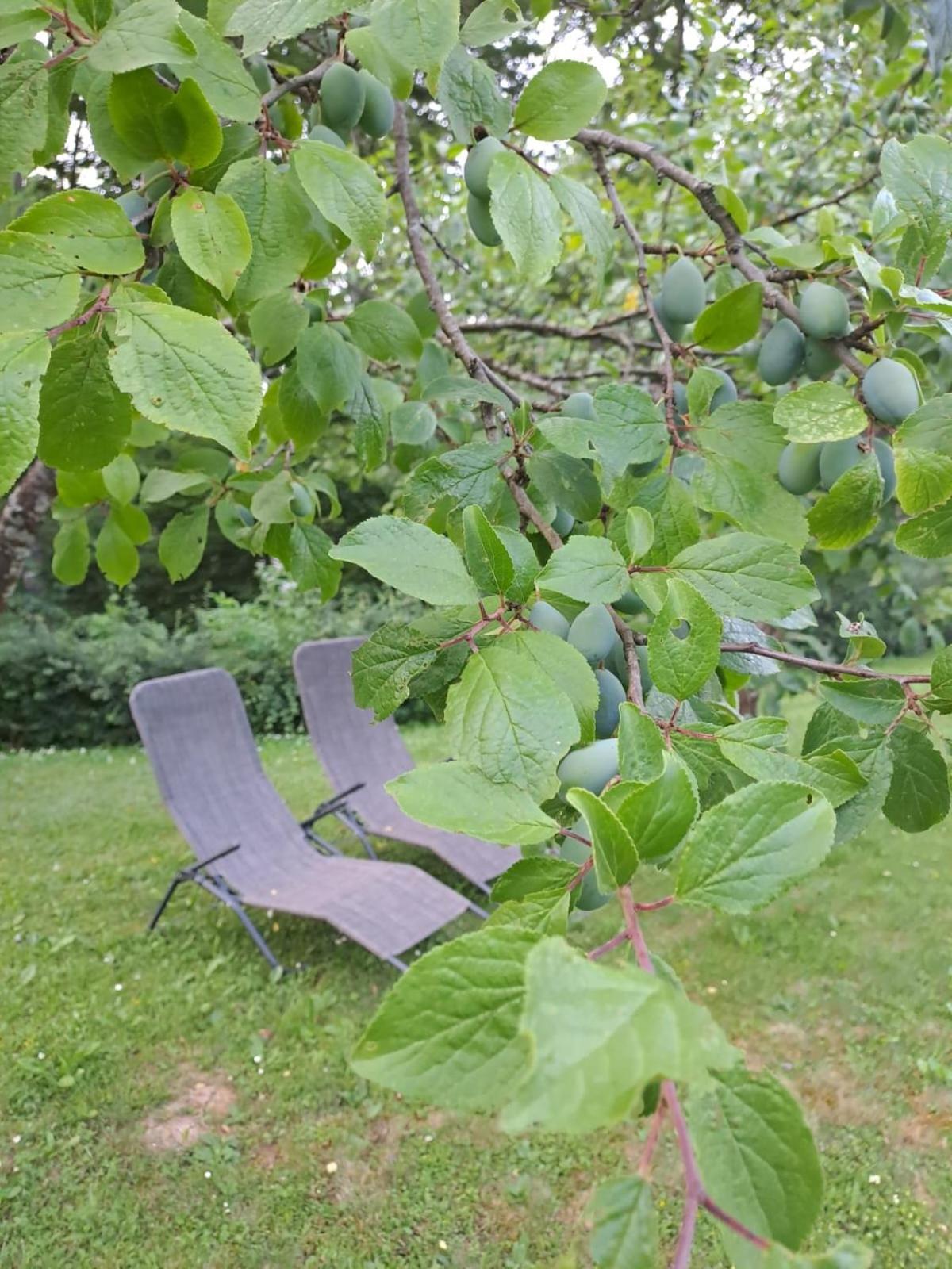 Tomljanovic Hotel Plitvicka Jezera Bagian luar foto